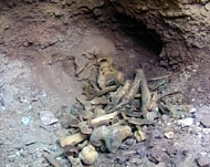 المقبرة تضم رفات من يعتقد أنهم جنود عرب 
