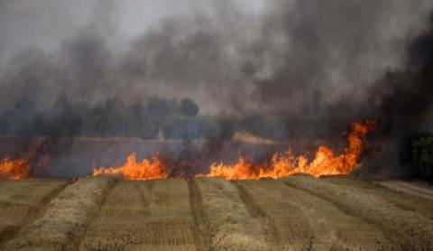  الزراعة السوري يتوعد مفتعلي الحرائق