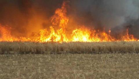  السوري-ضحية الطبيعة أم بفعل فاعل