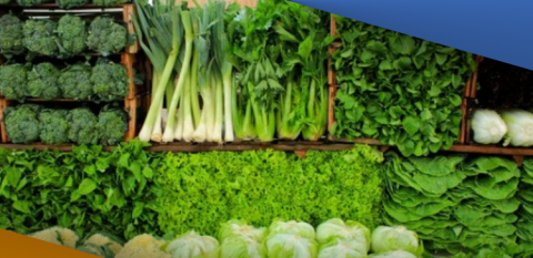 الخضروات الورقية "رقم 1" لإنقاص الوزن