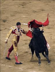 مصارع الثيران الاسباني سيرافين مارتن يصارع ثوراً في برشلونة (رويترز) 