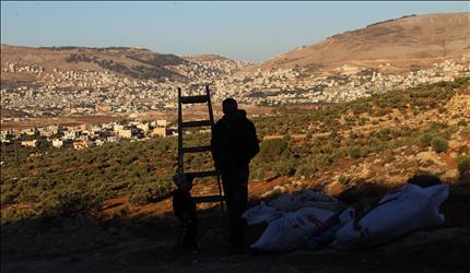 مزارع فلسطيني وابنه يهمان بقطف الزيتون في قرية سالم شرقي مدينة نابلس في الضفة الغربية المحتلة أمس (أ ب أ) 