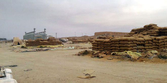 وحدات الجيش تعثر على آلاف الأطنان من القمح والأسمدة المسروقة بريف دير الزور